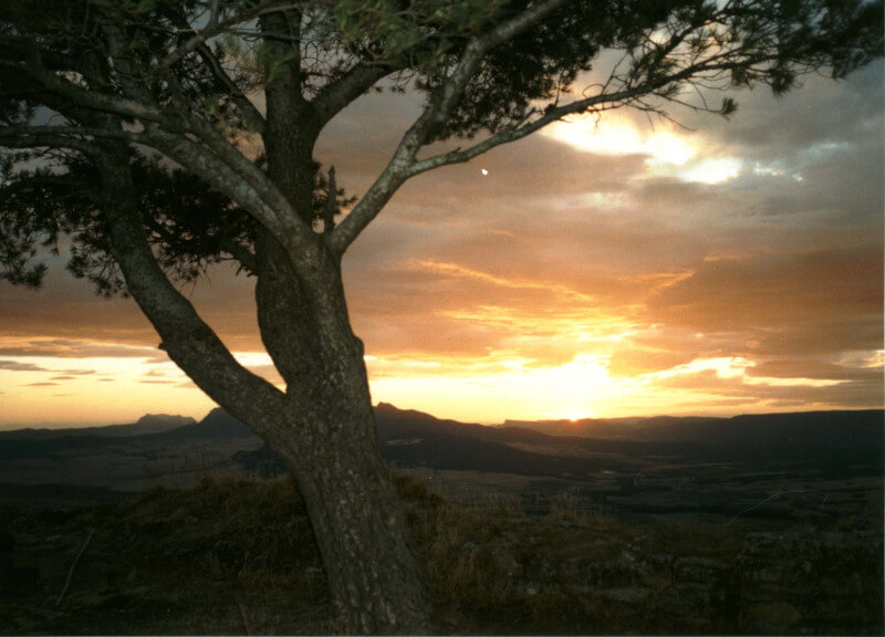 El sentido de la vida, foto: Katja Baumhauer