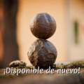 Suscripción Meditación para la vida cotidiana