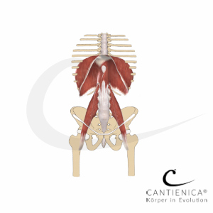 Respirar por la nariz