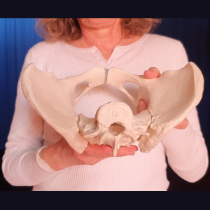 Fuerza del sacro y esternón