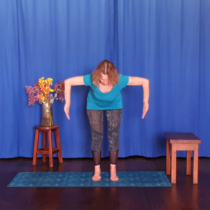 El vuelo del águila