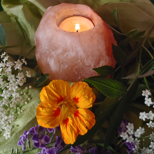 Meditación para la vida cotidiana