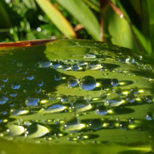 Agua de Pascua