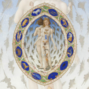 El ritmo del año y el zodiaco